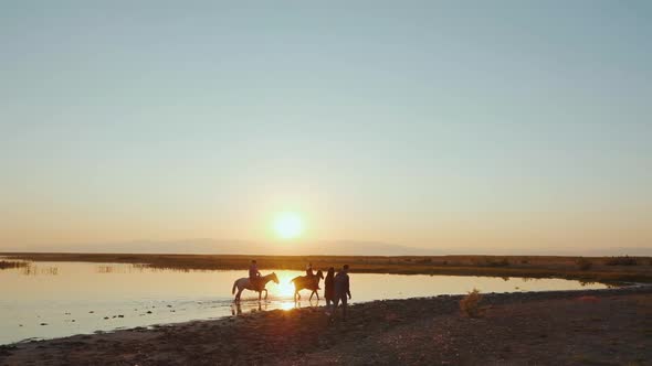 Friends Walking With Horses in Nature alt