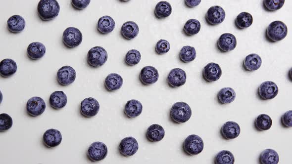 The Fresh Blueberry in a Chaotic Position on the White Background