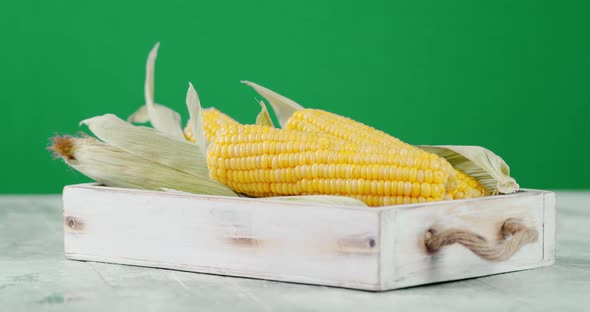 Corn with Leaves on a Tray Slowly Rotates.  alt