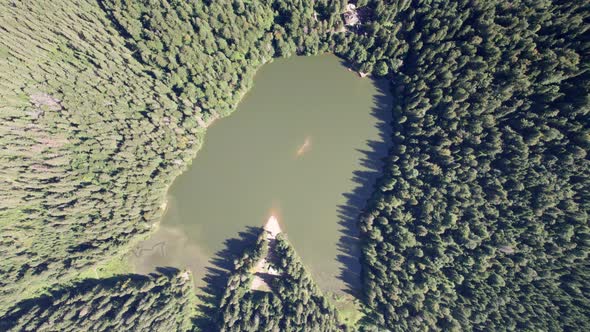 Aerial View of Synevyr Lake in Carpathians Ukraine Europe alt