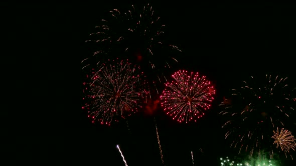 Colorful Firework display at night on sky background alt