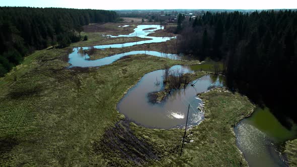 Winding Swamp River Surrounded By Forest alt