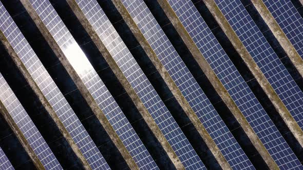 Close Up of Blue Solar Energy Panels on a Sunny Day alt