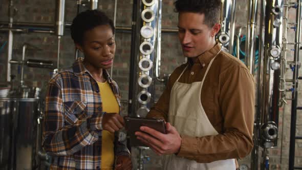 Diverse male and female colleague at gin distillery using tablet, talking and smiling alt