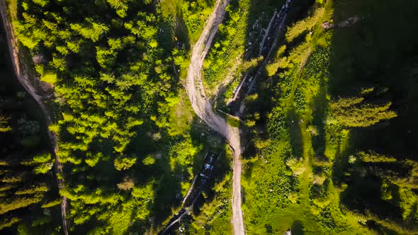 Aerial Forest Spruce in the Mountain of Almaty alt