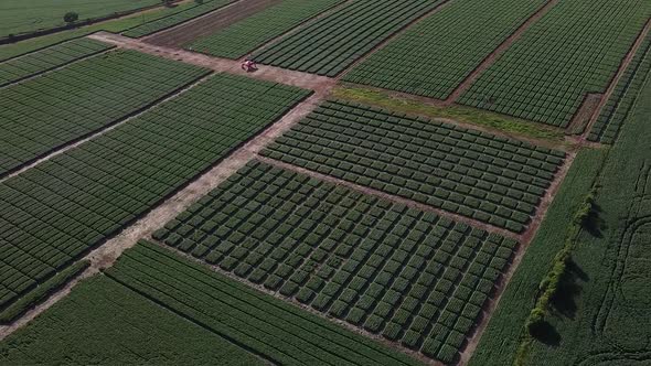 Experimental Soybeans Field Drone 7