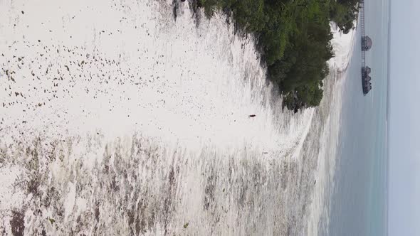 Vertical Video of Low Tide in the Ocean Near the Coast of Zanzibar Tanzania Aerial View alt
