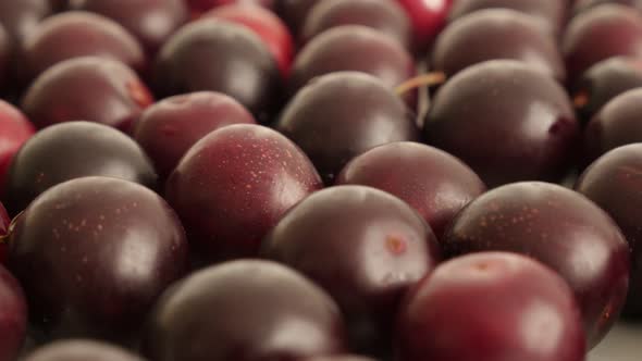 Many pieces of Prunus cerasifera organic fruit on table 4K 2160p 30fps UltraHD footage - Tilting on  alt