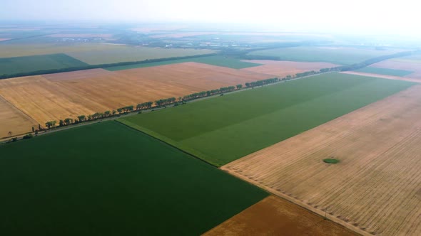 Panoramic Top View of Different Agricultural Fields alt