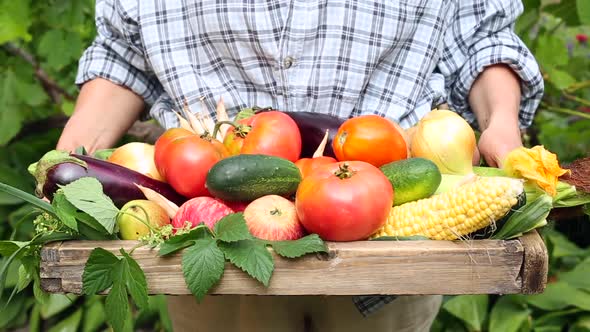 A farmer holds a harvest of fresh organic vegetables in a box. alt