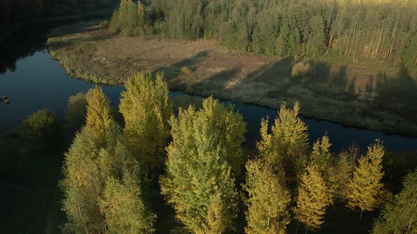Park area. A winding river. Trees with yellow autumn leaves are visible. Aerial photography. alt