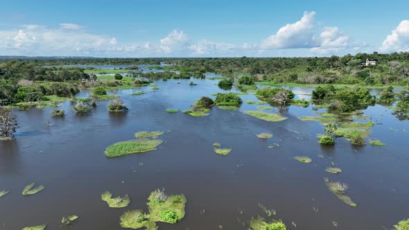 Stunning landscape of Amazon Forest at Amazonas State Brazil. alt