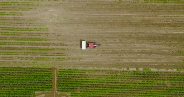 Tractor spreading fertilizer over young corn crops, Drone footage. alt