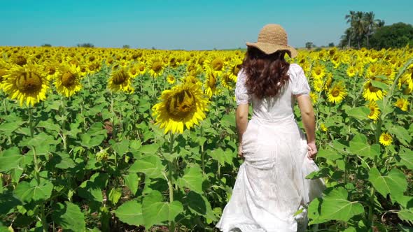 slow-motion of cheerful woman walking and enjoying with sunflower field