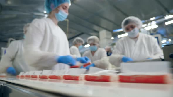 Factory Workers Assembling Products. Relocation of Fish Products Held By Female Workers alt