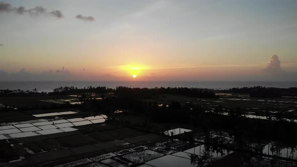 Sun Setting in the Rice Fields - Bali, Indonesia