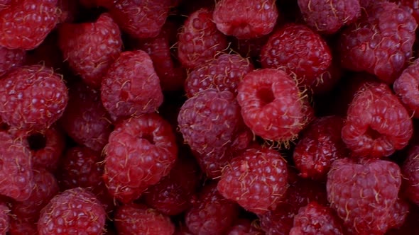Beautiful Ripe Red Raspberries Closeup