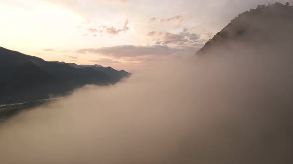 Summer Sunset Landscape alt