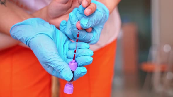 Close-up nurse's hands collecting blood. alt