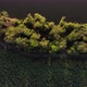 Beautiful foliage of trees near the river, top view. - VideoHive Item for Sale