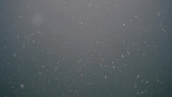 Winter, snow falling, snowflake in slow motion