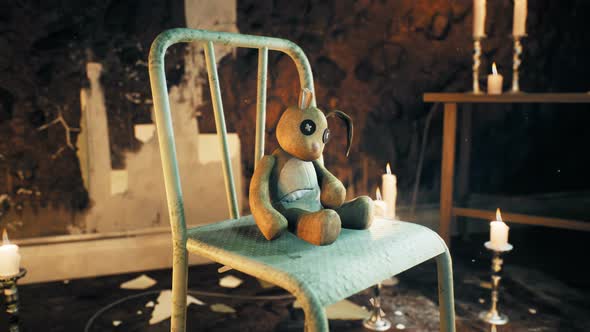 Abandoned Teddy Rabbit