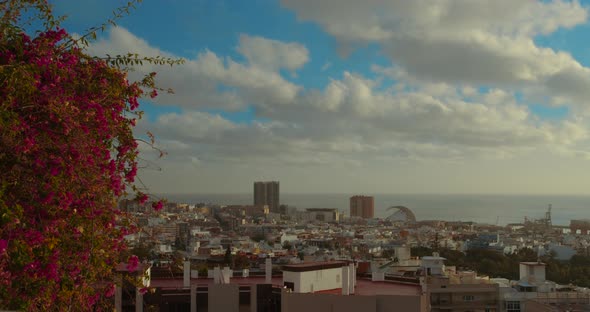 Timelapse. Santa Cruz De Tenerife: Urban Landscape in the Middle of the Atlantic: Mountains, Green alt