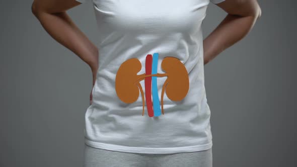 Paper Kidneys Sign on Female Body, Pyelonephritis, Kidney Stones Prevention