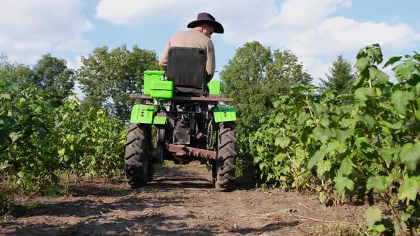 An Agronomist Inspects a Berry Crop While Riding His Mini Tractor alt