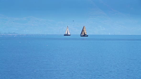 Small Sailing Yacht on the Lake Geneva and the Alps Mountains Switzerland