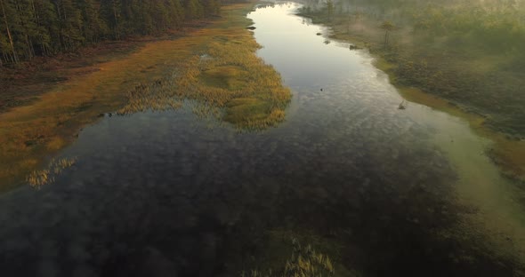Flying Over Bog Lake Next To Forest in Misty Morning at Sunrise Aerial View alt