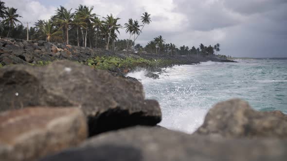 waves in the ocean, rocky shore with palm trees