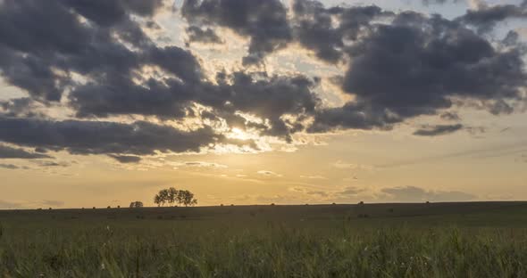 Flat Hill Meadow Timelapse at the Summer Sunset Time alt