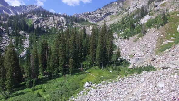 Camera retreats from a cluster of trees on a mountainside alt
