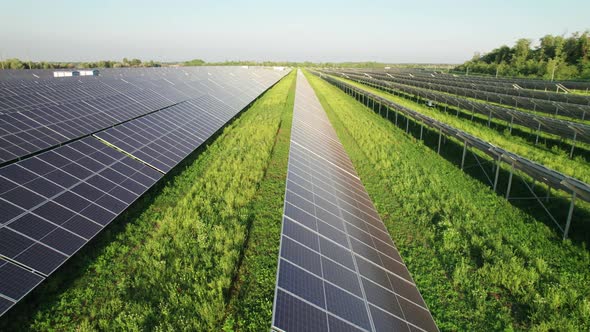 Aerial View of Solar Farm on the Green Field at Sunset Time Solar Panels in Row alt