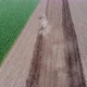 Following A Tractor Tilling Soil In The Farm - VideoHive Item for Sale