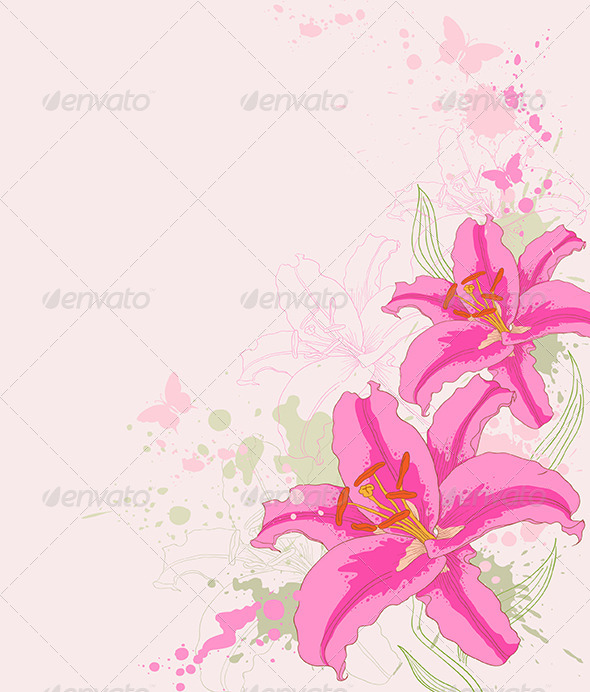 Floral Background with Pink Lily - Flowers & Plants Nature