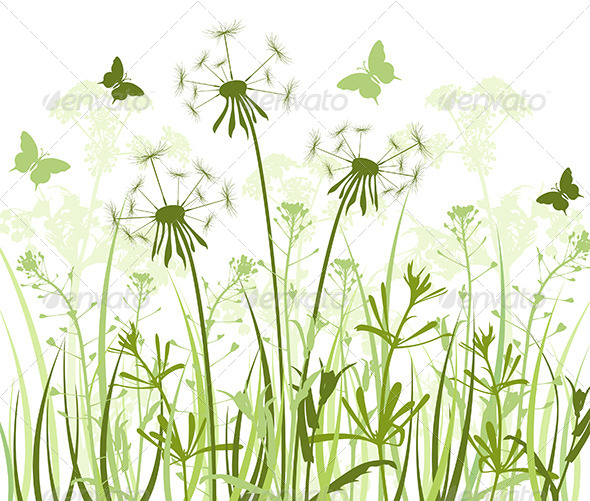 Floral Background with Grass and Dandelions - Flowers & Plants Nature
