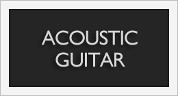Acoustic Guitar