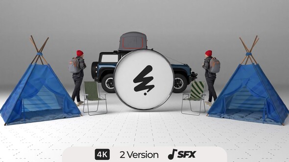 Travel Agency Logo Stings template preview