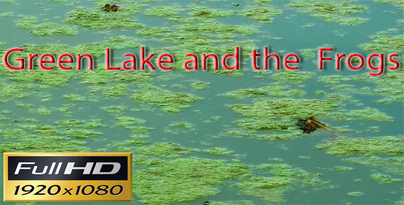 Green Lake And The Frogs alt