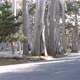 Scenic 17Mile Drive Monterey California - VideoHive Item for Sale