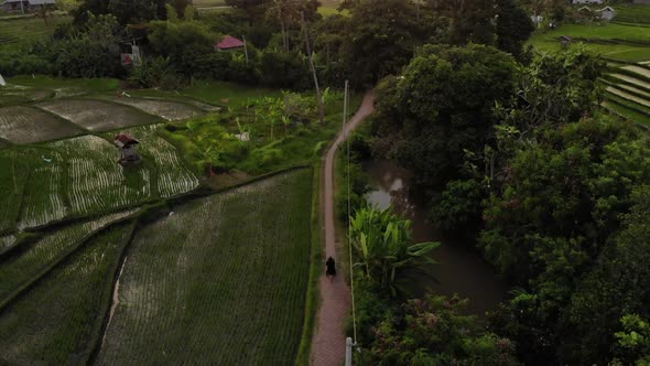 Person Strolling Near Rice Fields in Kerobokan, Bali