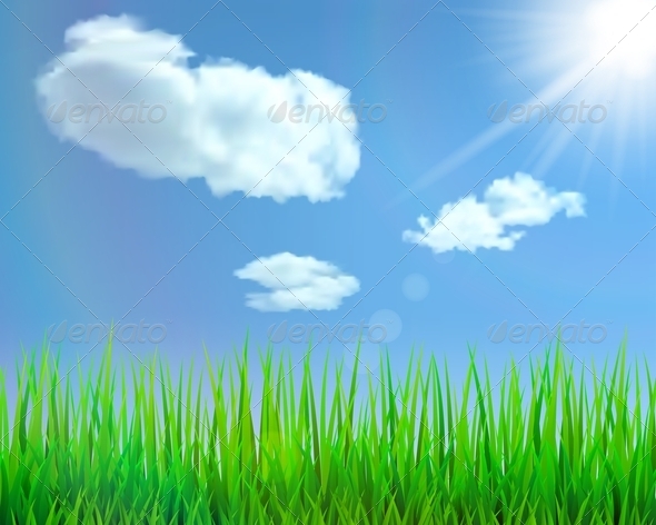 Nature Background - Backgrounds Decorative