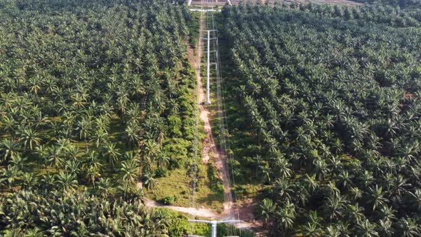Aerial view power pole alt