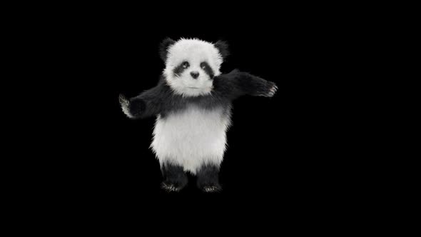 Panda Dancing HD alt