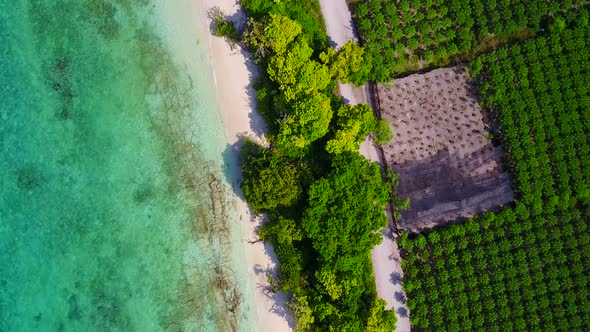 Drone aerial tourism of coastline beach by blue sea with sand background alt