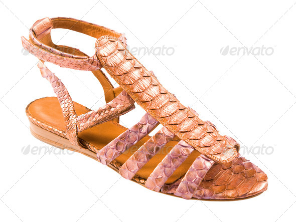 Python leather roman sandal - Stock Photo - Images