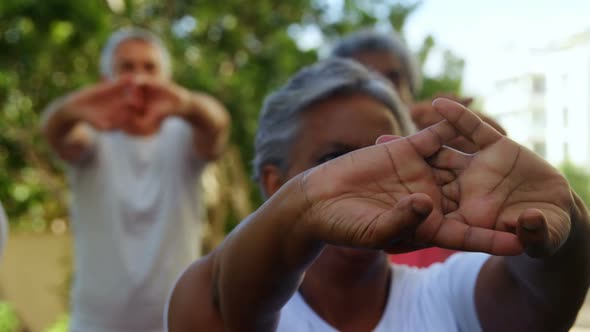 Senior friends doing stretching exercise in garden 4k alt