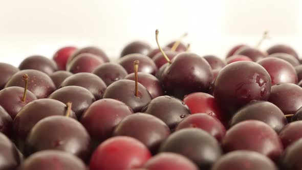 Cherry plum on table slow tilt 4K 2160p 30fps UltraHD footage - Tilting over fresh fruit Prunus cera alt